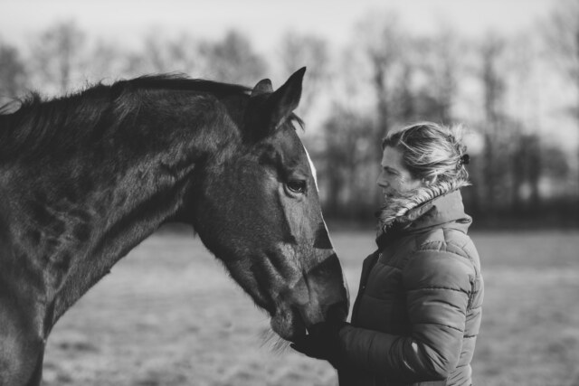 Zajate-13-1500×1000