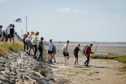 Colbe Schiermonnikoog-64
