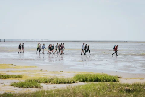 Colbe Schiermonnikoog-71
